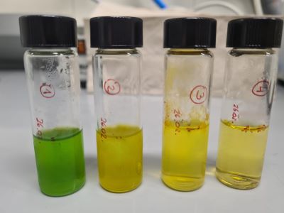 microalgae-extracts-hp