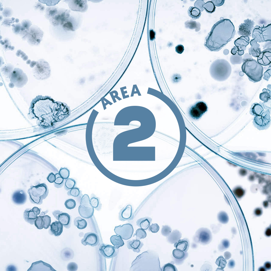 ffoqsi_area-symbol2_blau